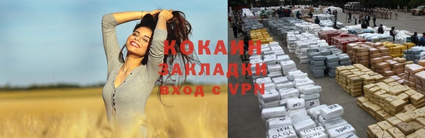 дурь Киреевск