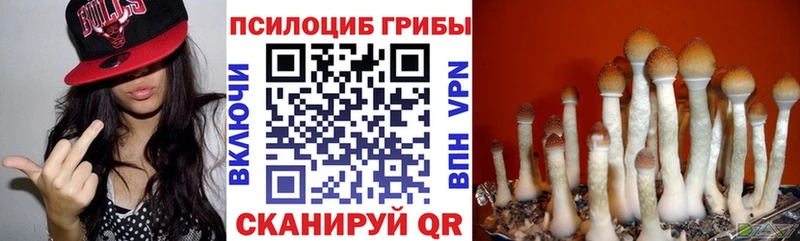 Галлюциногенные грибы Magic Shrooms  Купить закладки  Дрезна 